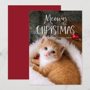 Cartes Pour Fêtes Annuelles Noël Meowy Photo de chat animal de compagnie amu