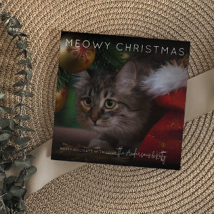 Cartes Pour Fêtes Annuelles Noël Meowy   Photo Noël