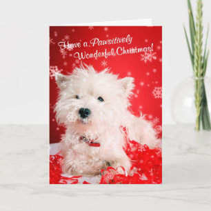 Cartes Pour Fêtes Annuelles Noël merveilleux de Westie souhaite 2 -
