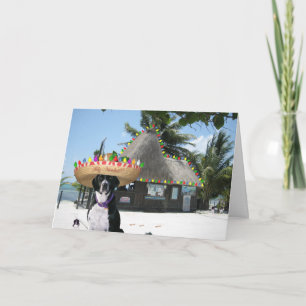 Cartes Pour Fêtes Annuelles Noël mexicain Chrysie