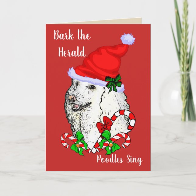 Cartes Pour Fêtes Annuelles Noël mignon de Père Noël de caniche (Devant)