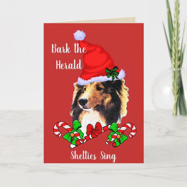 Cartes Pour Fêtes Annuelles Noël mignon de Sheltie Père Noël (Devant)