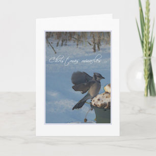 CARTES POUR FÊTES ANNUELLES NOËL MIRACLES