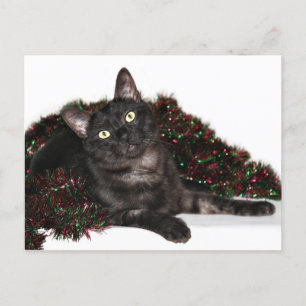 Cartes Pour Fêtes Annuelles Noël noir de chat de fumée