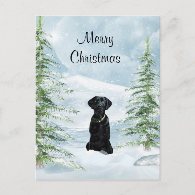 Cartes Pour Fêtes Annuelles Noël noir de laboratoire (Devant)