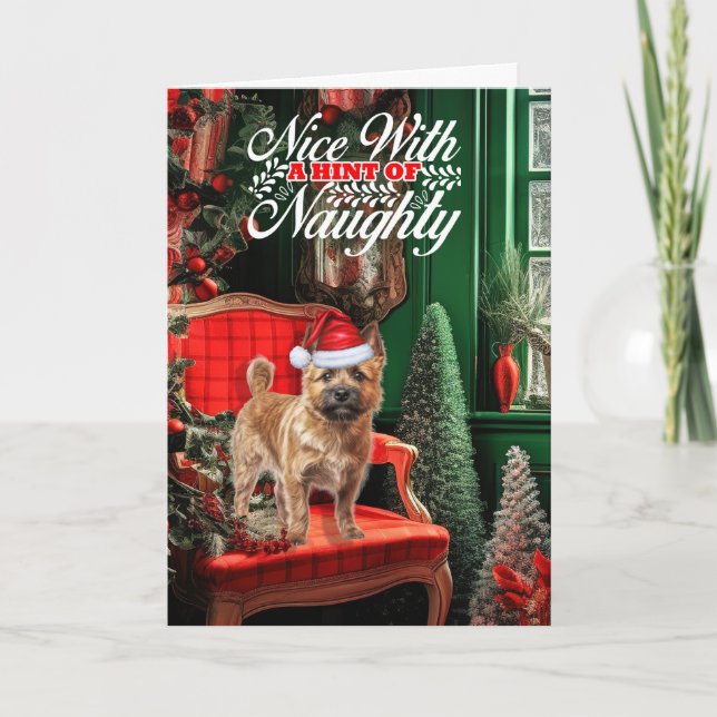 Cartes Pour Fêtes Annuelles Noël Norwich Terrier Dog Naughty ou Nice (Devant)