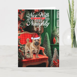 Cartes Pour Fêtes Annuelles Noël Norwich Terrier Dog Naughty ou Nice