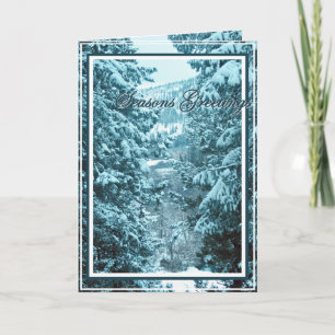 Cartes Pour Fêtes Annuelles Noël, Nouvel An, Fête - Arbres couverts de neige