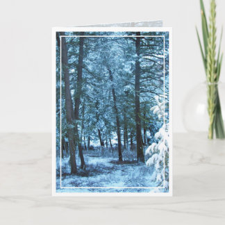 Cartes Pour Fêtes Annuelles Noël, Nouvel An, Fête - Vide