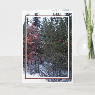 Cartes Pour Fêtes Annuelles Noël, Nouvel An, Fête - Vide