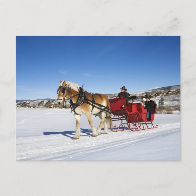 Cartes Pour Fêtes Annuelles Noël occidental - Noël Sleigh de cheval (Devant)