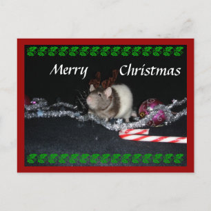 Cartes Pour Fêtes Annuelles Noël orageux