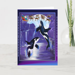 Cartes Pour Fêtes Annuelles Noël Orca
