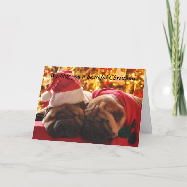 Cartes Pour Fêtes Annuelles Noël paisible de Shar Pei (Devant)