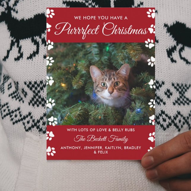 Cartes Pour Fêtes Annuelles Noël parfait | Photo de vacances de chat (Créateur téléchargé)