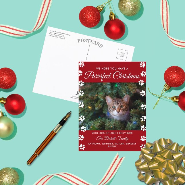 Cartes Pour Fêtes Annuelles Noël parfait | Photo de vacances de chat (Créateur téléchargé)