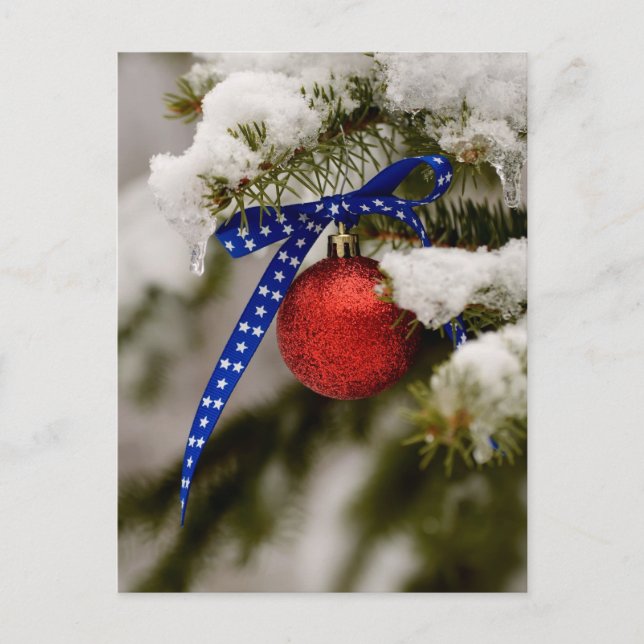 Cartes Pour Fêtes Annuelles Noël patriotique (Devant)