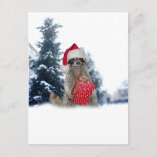 Cartes Pour Fêtes Annuelles Noël Père Noël Raccoon Bandit