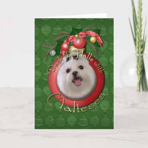 Cartes Pour Fêtes Annuelles Noël - plate-forme les halls - Malteses