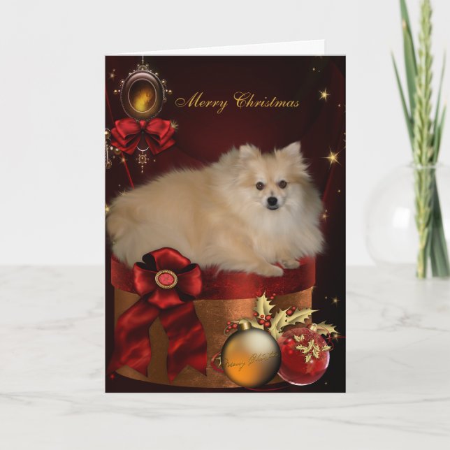 Cartes Pour Fêtes Annuelles Noël Poméran (Devant)