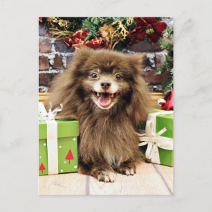 Cartes Pour Fêtes Annuelles Noël - Pomeranian - Fred