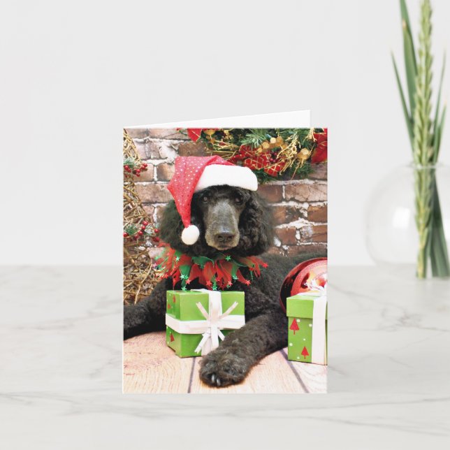 Cartes Pour Fêtes Annuelles Noël - Poodle standard - Bronco (Devant)