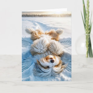 Cartes Pour Fêtes Annuelles Noël Porté Collie Ange Neige