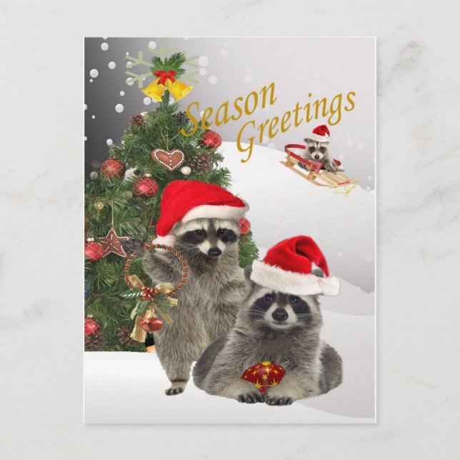 Cartes Pour Fêtes Annuelles Noël Raccoon Un Moment Pour S'Amuser (Devant)