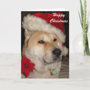 Cartes Pour Fêtes Annuelles Noël rouge de pointsettia de casquette de père