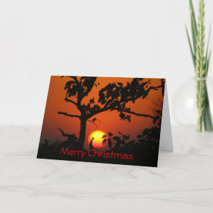 Cartes Pour Fêtes Annuelles Noël rouge de Sun de boule