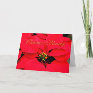 Cartes Pour Fêtes Annuelles Noël Rouge Poinsettia