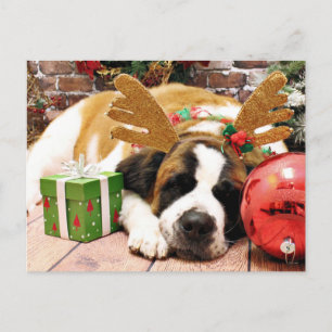 Cartes Pour Fêtes Annuelles Noël - Saint Bernard - Bleu