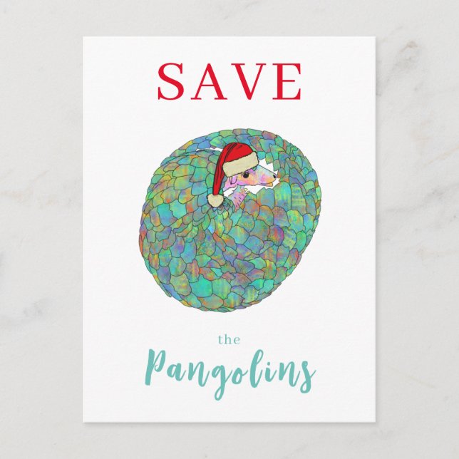 Cartes Pour Fêtes Annuelles Noël Sauvegarder le Pangolin Animal Mignon (Devant)