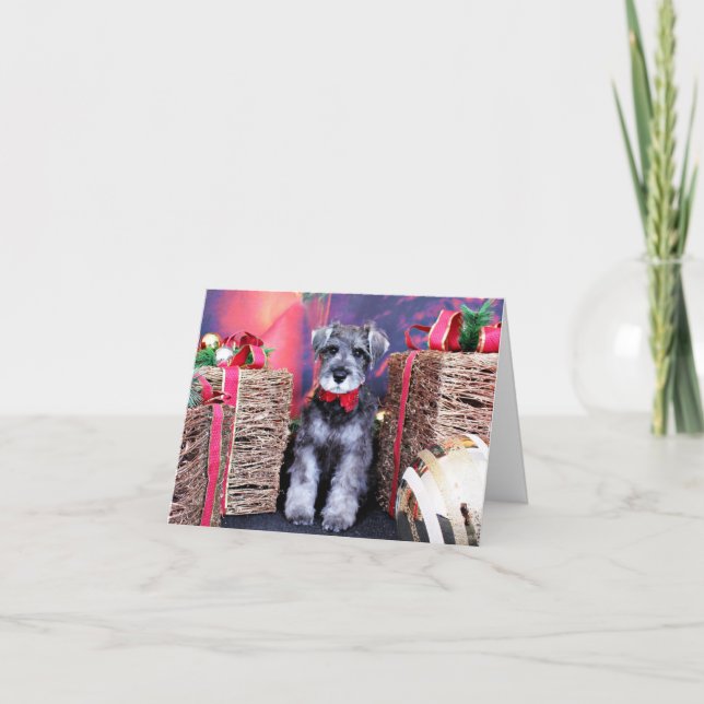 Cartes Pour Fêtes Annuelles Noël - Schnauzer (Devant)