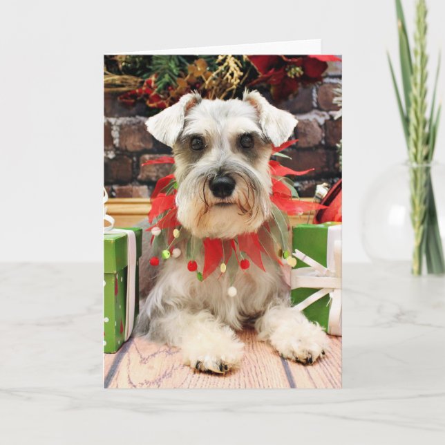 Cartes Pour Fêtes Annuelles Noël - Schnauzer - Abby (Devant)