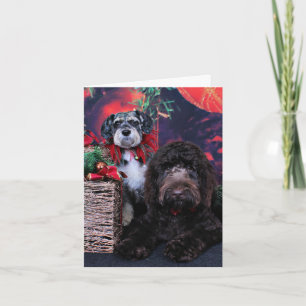 Cartes Pour Fêtes Annuelles Noël - Schnauzer Apache - Bowen LabraDoodle