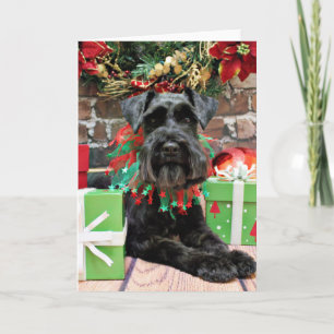 Cartes Pour Fêtes Annuelles Noël - Schnauzer - Fergie