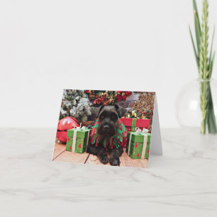 Cartes Pour Fêtes Annuelles Noël - Schnauzer Mix - Bentley