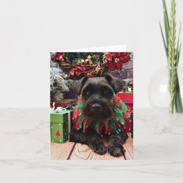 Cartes Pour Fêtes Annuelles Noël - Schnauzer Mix - Bentley (Devant)