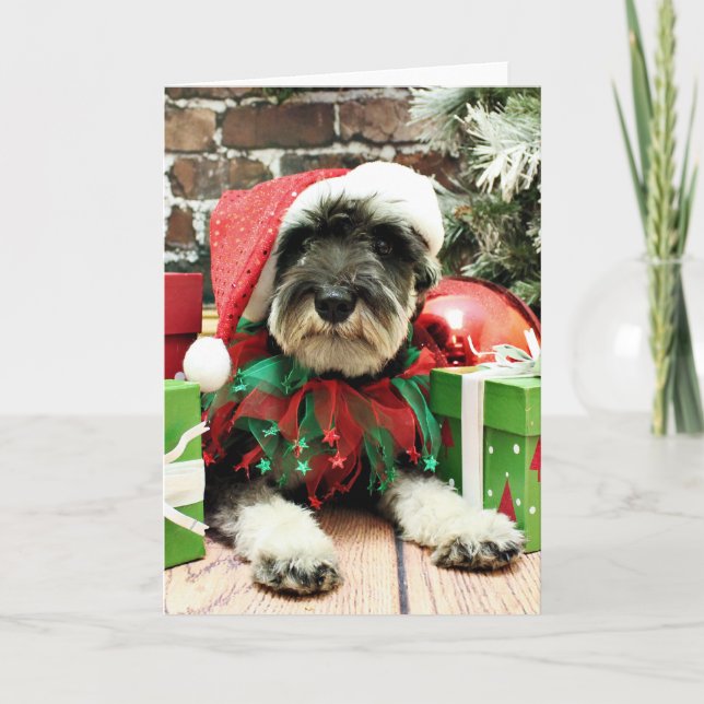Cartes Pour Fêtes Annuelles Noël - Schnauzer - Tom Dooley (Devant)