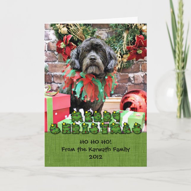 Cartes Pour Fêtes Annuelles Noël - Schnoodle - Rookie (Devant)