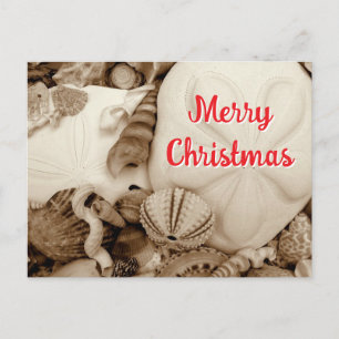 Cartes Pour Fêtes Annuelles Noël Sepia Sand Dollar