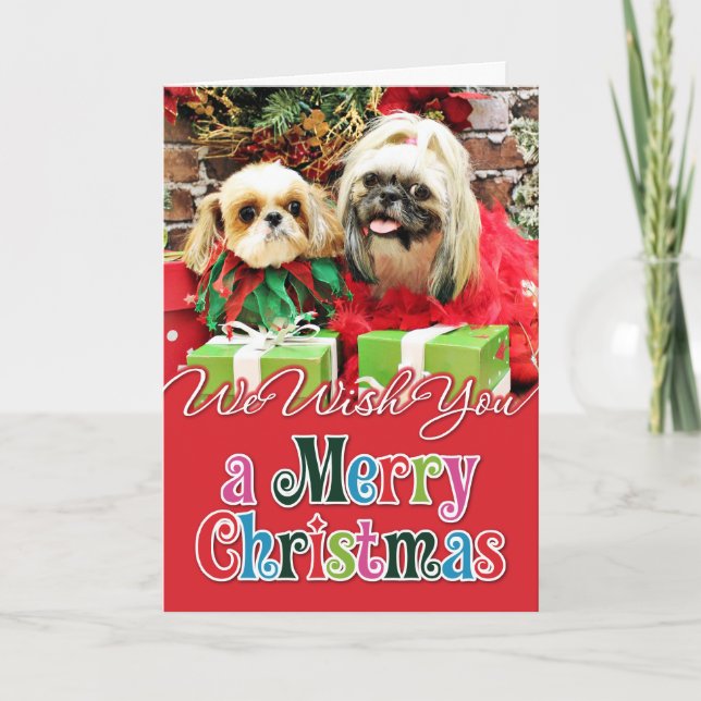 Cartes Pour Fêtes Annuelles Noël - Shih Tzu - Earl et Opal (Devant)