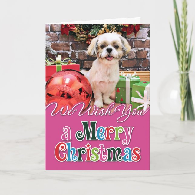 Cartes Pour Fêtes Annuelles Noël - Shih Tzu - Marley (Devant)