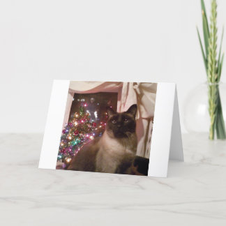 Cartes Pour Fêtes Annuelles noël siamois