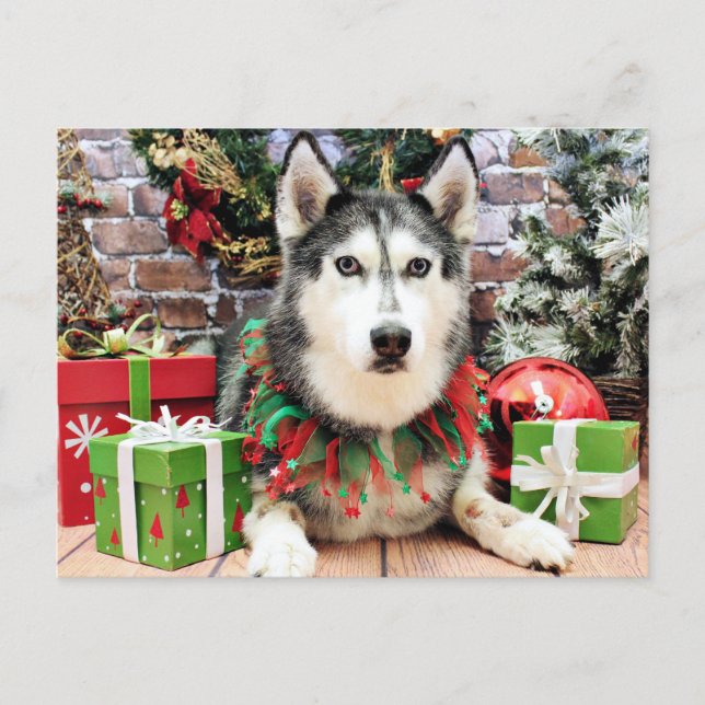 Cartes Pour Fêtes Annuelles Noël - Siberian Husky - Nika (Devant)