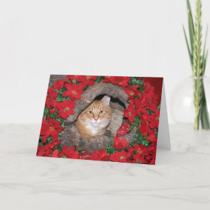Cartes Pour Fêtes Annuelles Noël Tabby