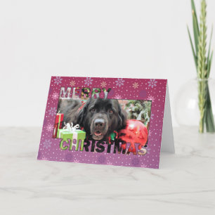 Cartes Pour Fêtes Annuelles Noël - Terre-Neuve - Izzie