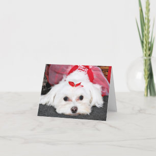 Cartes Pour Fêtes Annuelles Noël - Tinkerbell - maltais