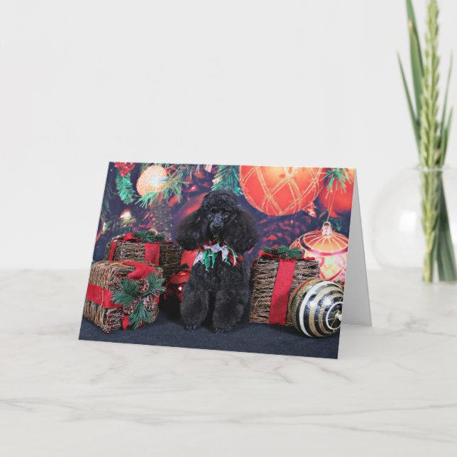 Cartes Pour Fêtes Annuelles Noël - Toby - Poodle (Devant)
